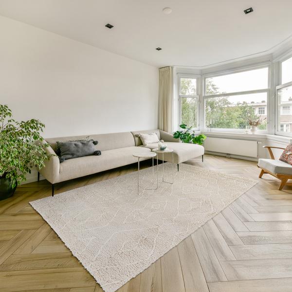 LANCASTER Shag Rectangle Carpet